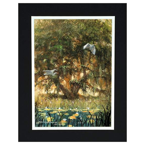 Spanish Moss by James Coleman (matted print)-James Coleman,Matted Prints,No Frame