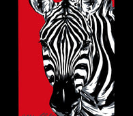 Zebra-James Coleman Studios Shop-Allison Lefcort,fota,FOTA2022,Matted Prints,NEW