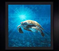 Lone Turtle by Rodel Gonzalez (framed metal print)-Framed Art,le,metal prints,new,Rodel Gonzalez