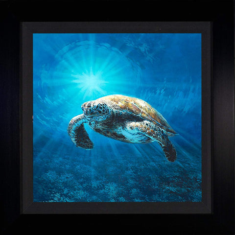 Lone Turtle by Rodel Gonzalez (framed metal print)-Framed Art,le,metal prints,new,Rodel Gonzalez